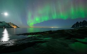 Northern Light Hotell/Camp Steinfjord